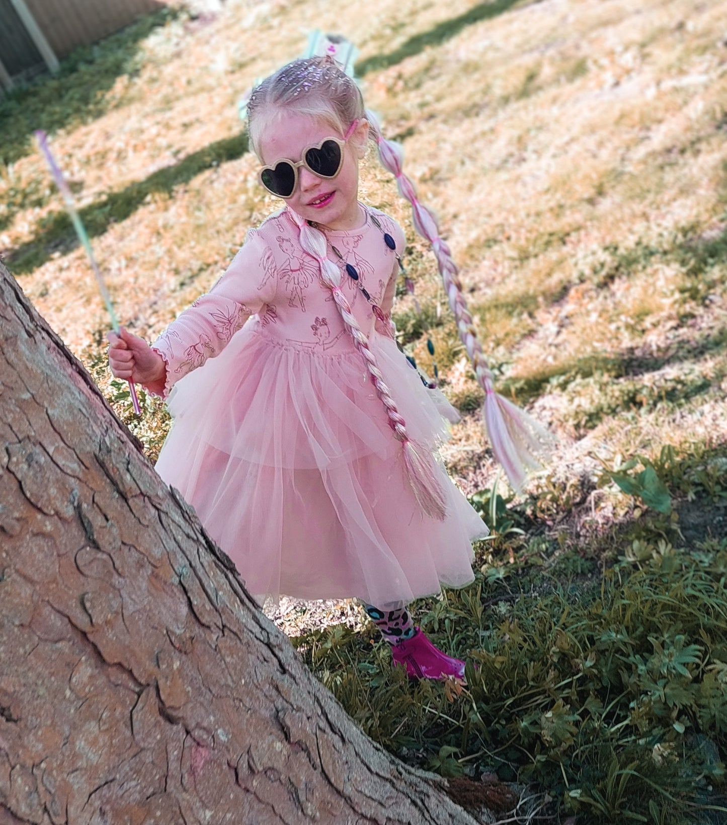 Enchanted Fairy braid set