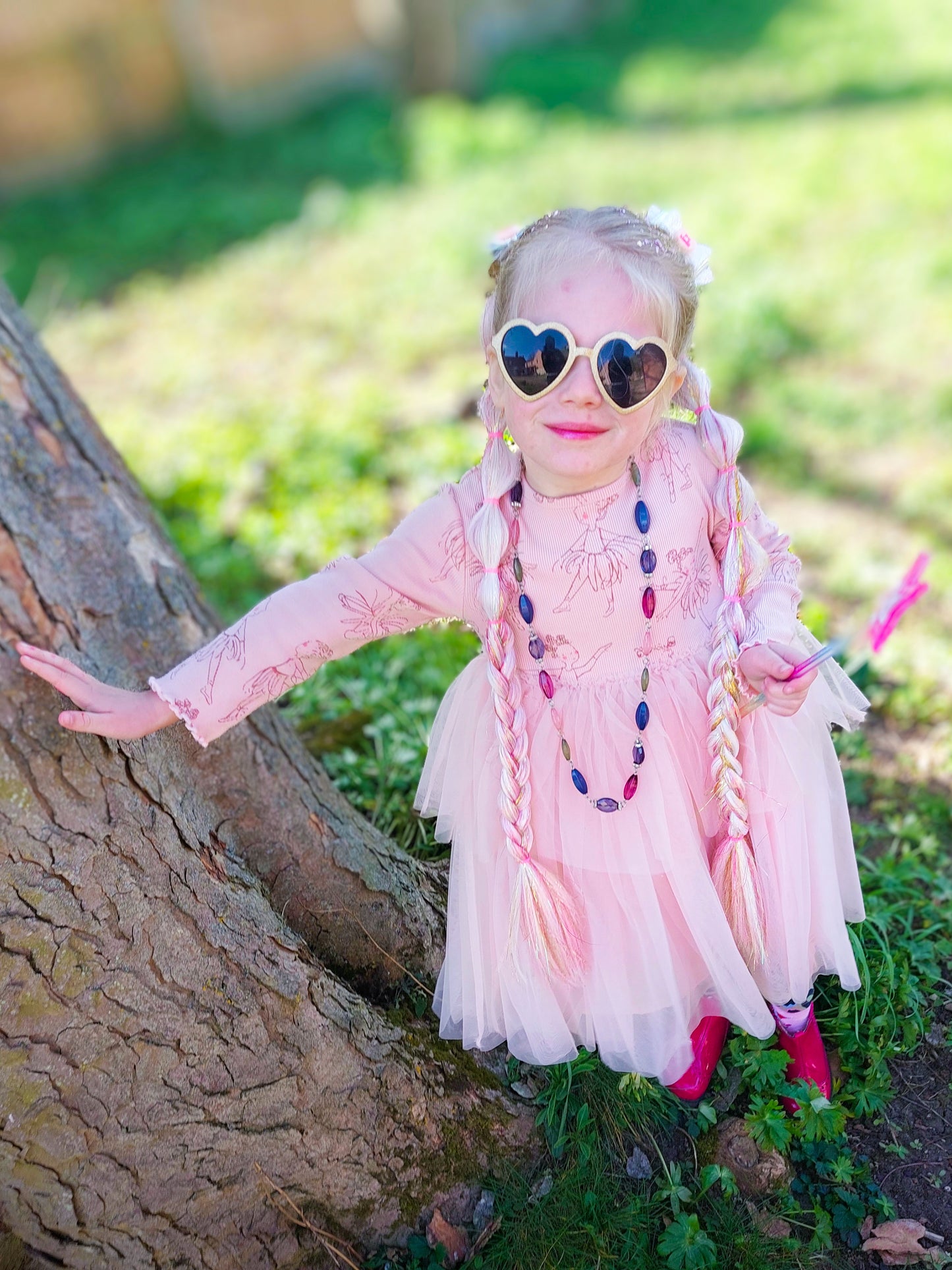 Enchanted Fairy braid set