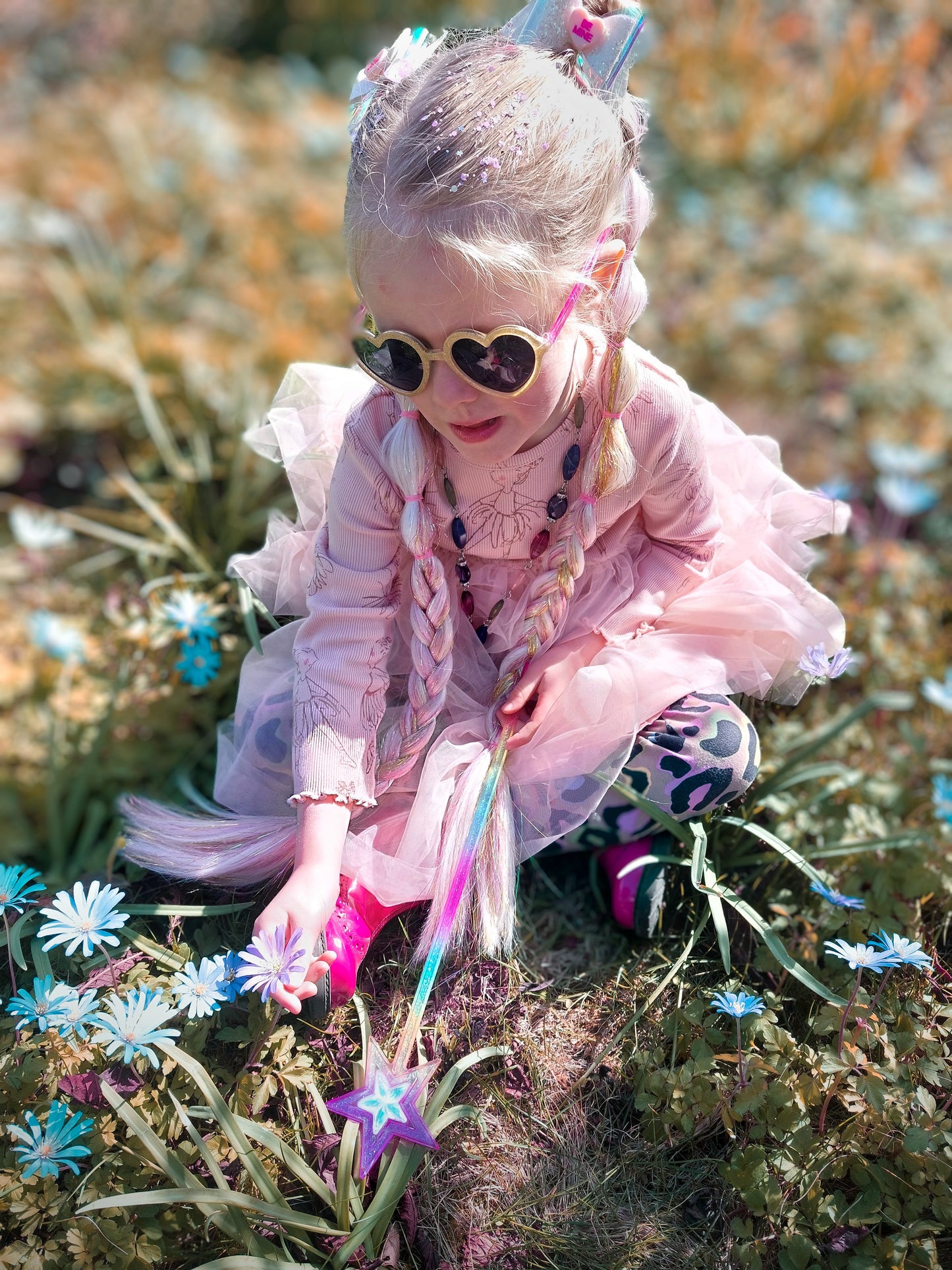Enchanted Fairy braid set